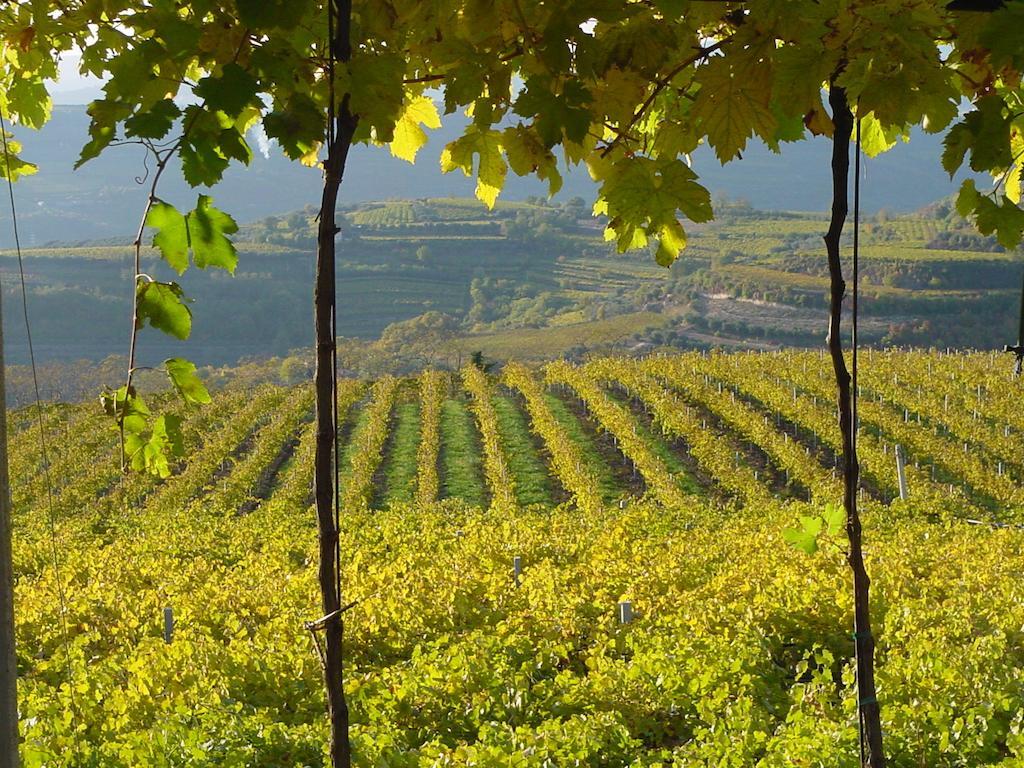 B&B Camignone Franciacorta Passirano Exterior photo